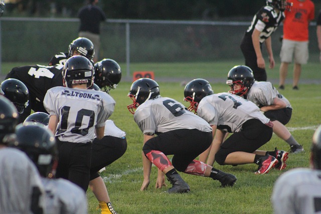 仅让我们看 仅让我们看