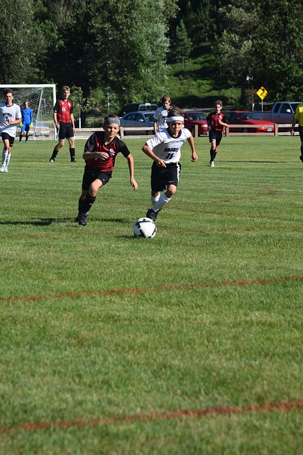 基于体教融 基于体教融