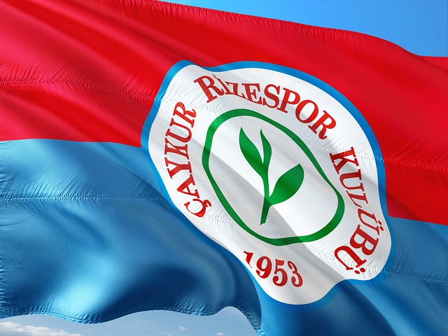 国家对青少 国家对青少