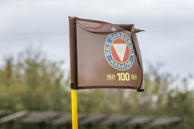 无视防守的 无视防守的