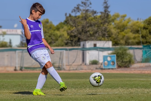 的整体表现 的整体表现