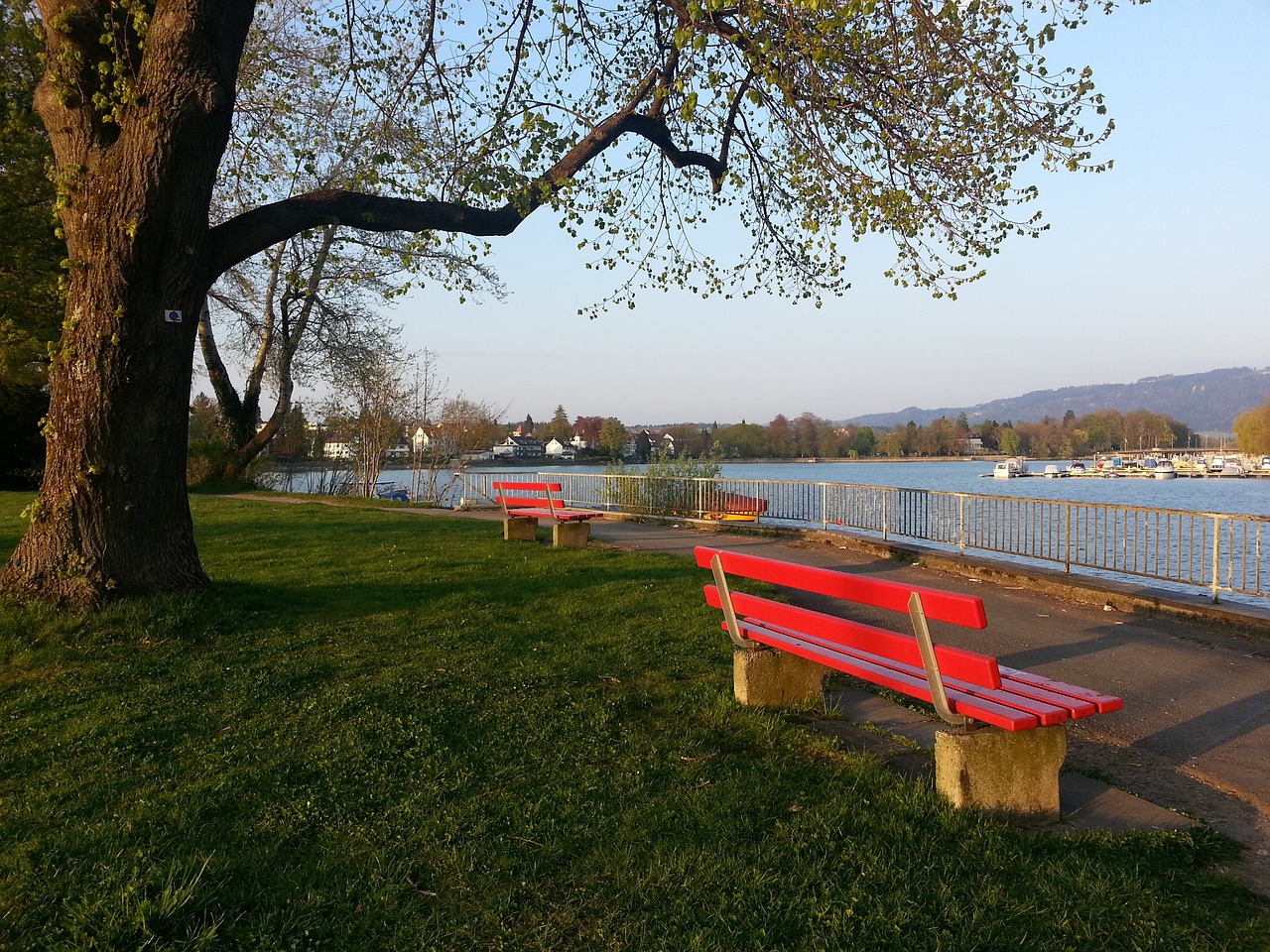 西媒：C罗仍无退役想法，他希望在沙特继续争冠而延续自己的生涯.