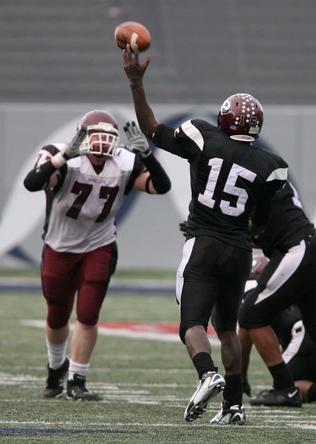 的成熟与潜 的成熟与潜