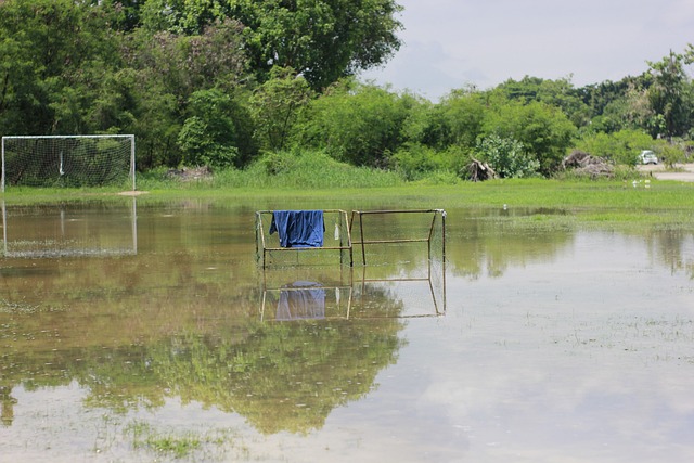 他在父亲身 他在父亲身