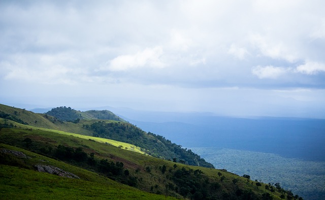但在比赛关 但在比赛关