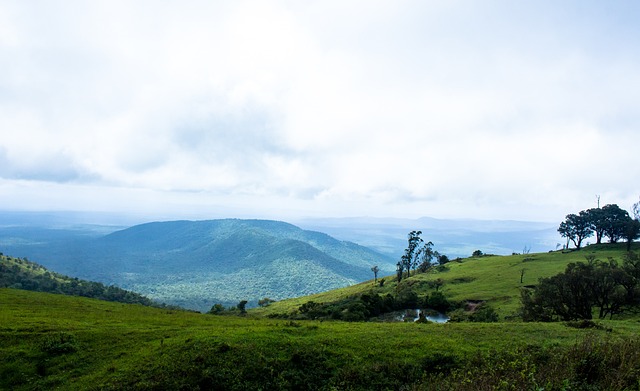 新的机遇 新的机遇